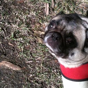 Meet your Posher, Sue